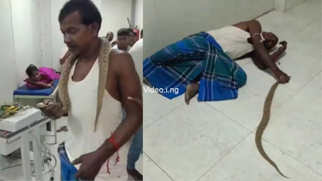 Man arrives hospital carrying live snake that bit him video