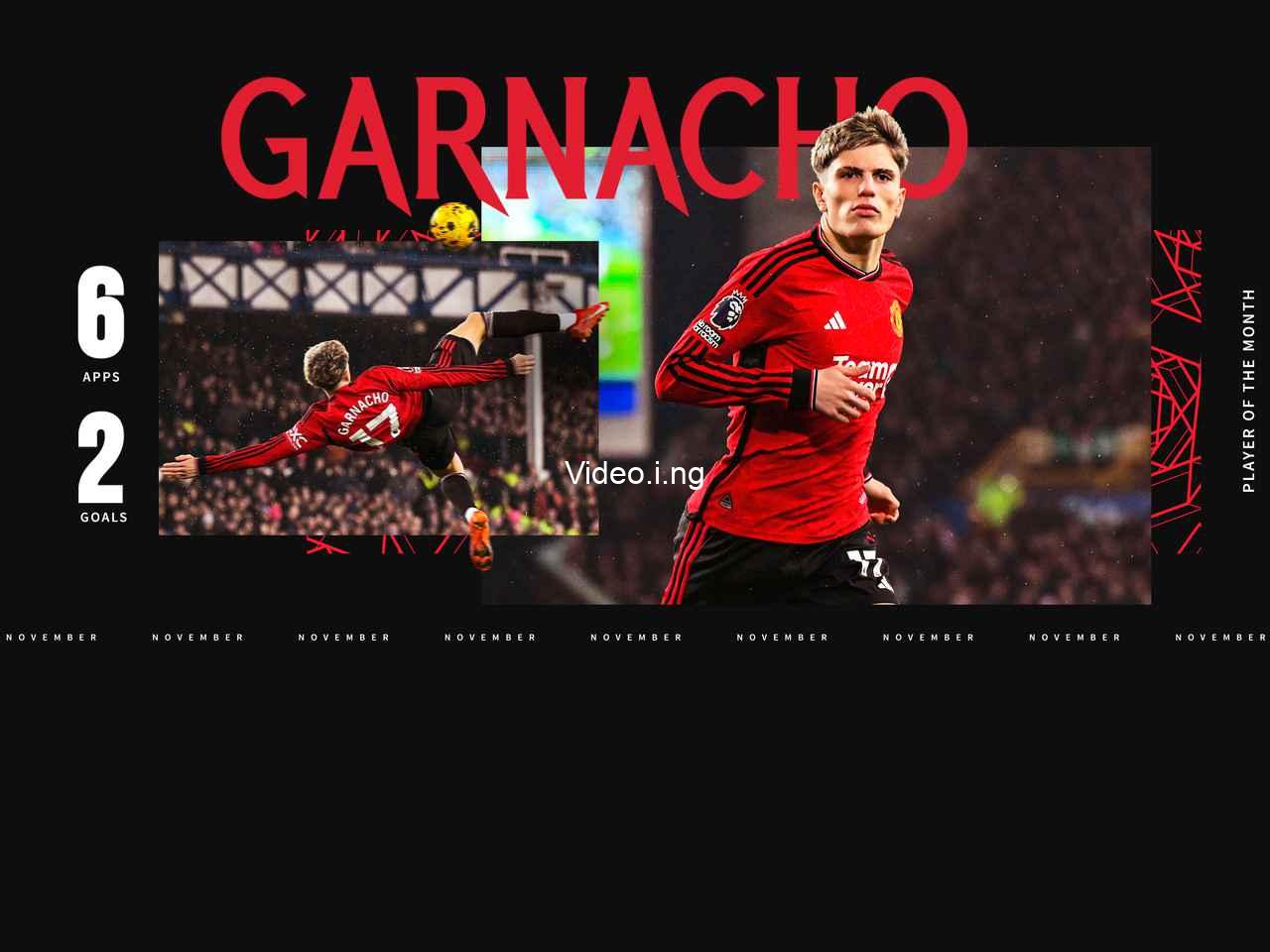 Which player won the goal of the month award for november