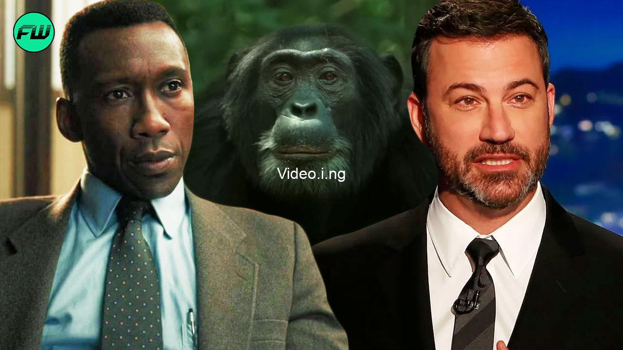 Mahershala ali and jimmy kimmel comes up with a stellar idea for chimp empire sequel and its hilariously golden