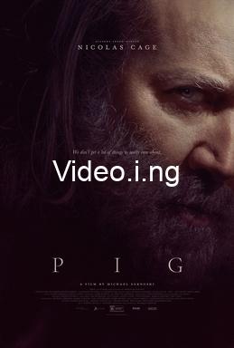Pig