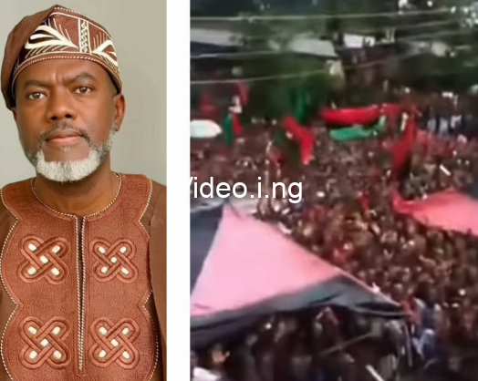 Nnamdi kanu could have used his popularity to start a political party to elect governors and senators reno omokri