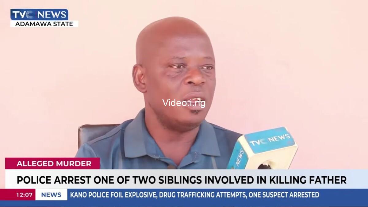 Two brothers allegedly strangle their father to death in adamawa state