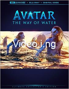 Avatar the way of water digital review drowning bandwidth