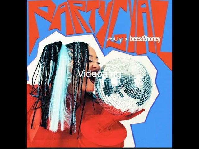 Partygal lyrics by moliy bees honey