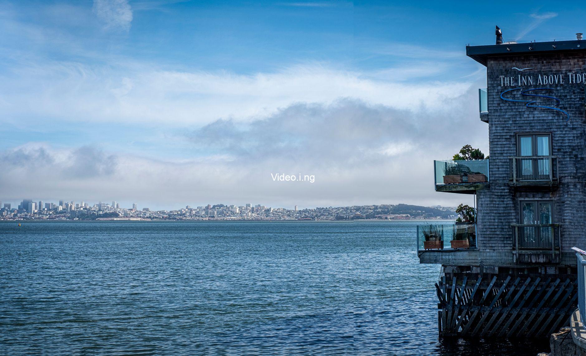 The Bay (2026) MOVIE
